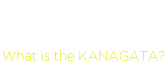 金型とは? What is the KANAGATA?